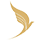  ایرلاین وارش