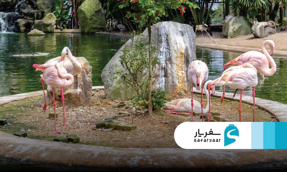 پارک پرندگان، آکواریوم KLCC و باغ های گیاه شناسی