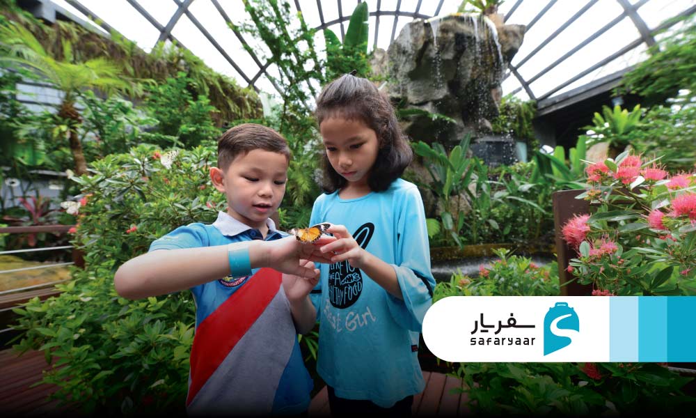 باغ پروانه
