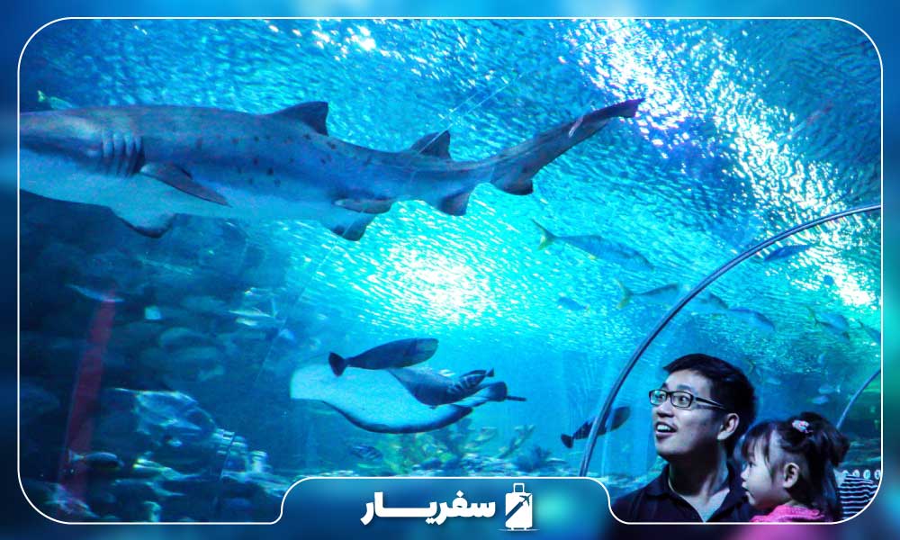 بخش‌های مختلف آکواریوم مالزی