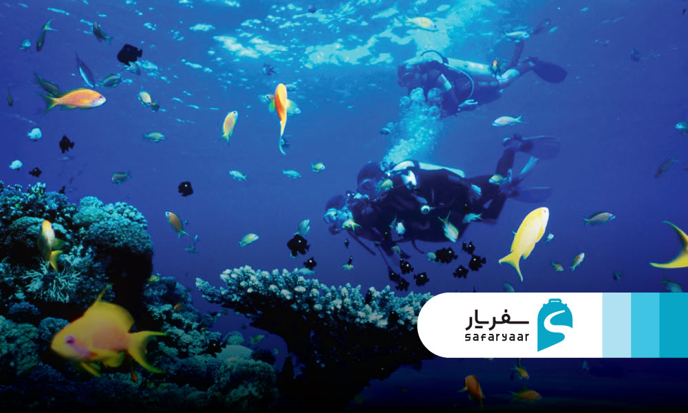 غواصی در قشم یک تجربه هیجان‌انگیز
