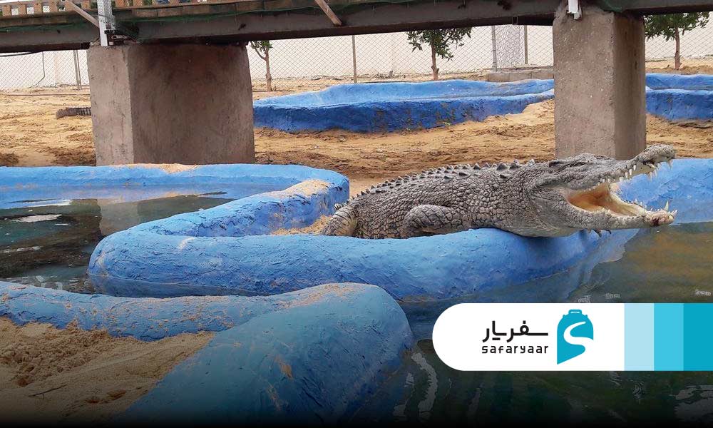 آشنایی با پارک کروکودیل قشم