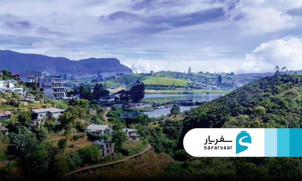 تاریخچه نووارا الیا