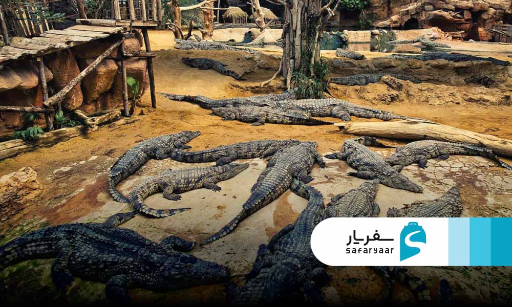 تاریخچه پارک کروکودیل قشم