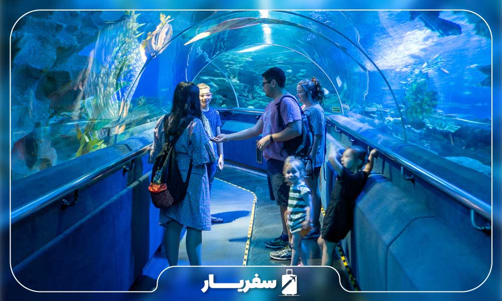 اطلاعاتی در مورد آکواریوم مالزی