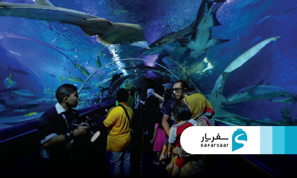 آکواریوم KL