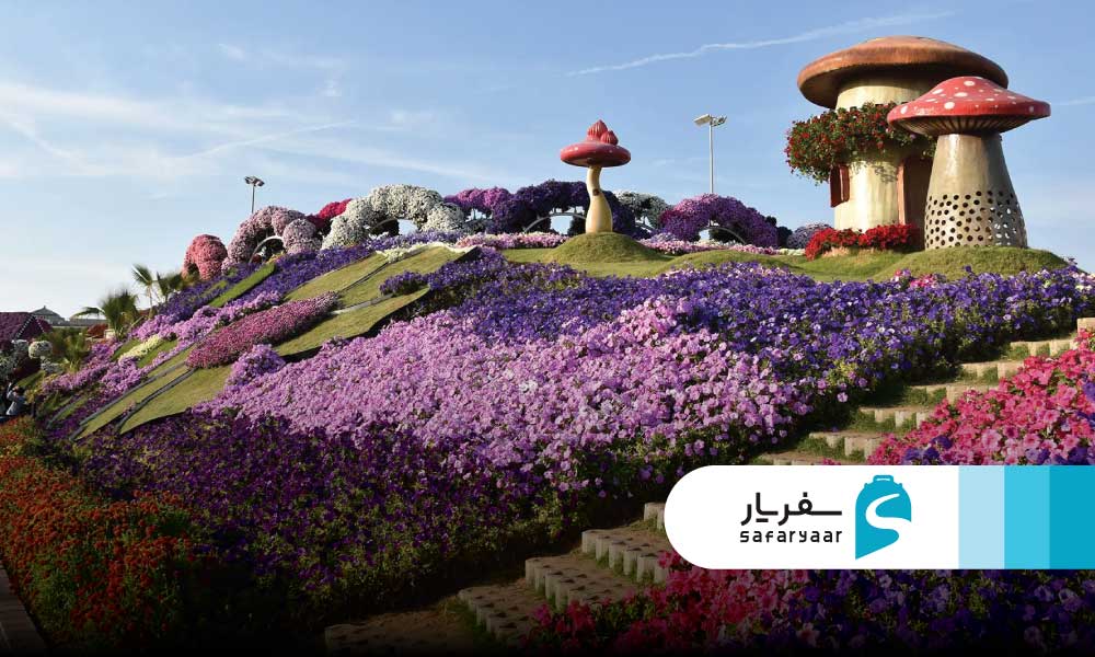فعالیت ها و تفریحات دیگر در باغ گل دبی