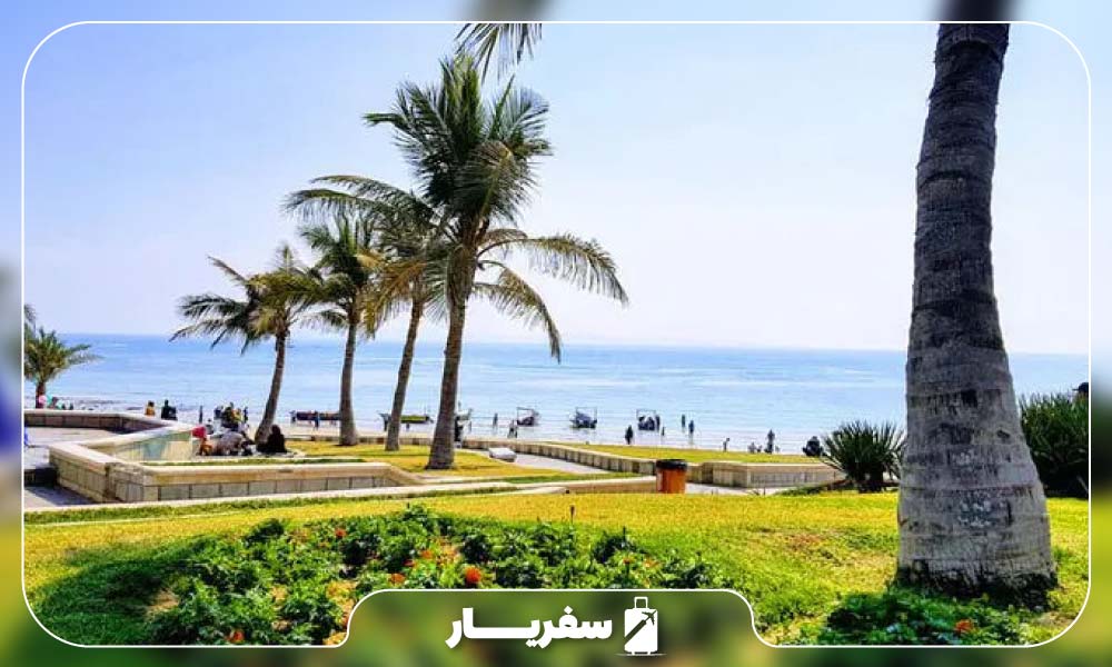زیبایی پارک زیتون قشم 