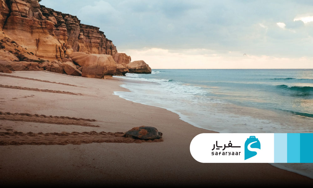 ساحل راس الجنز