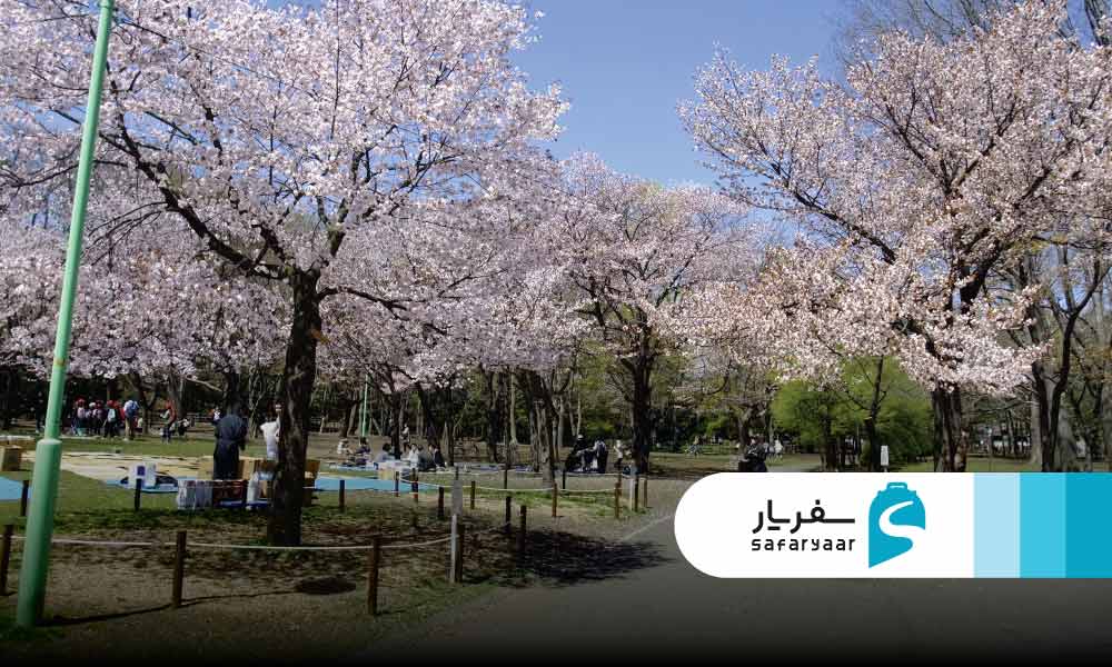 جاذبه های دیدنی اطراف رودخانه کامو
