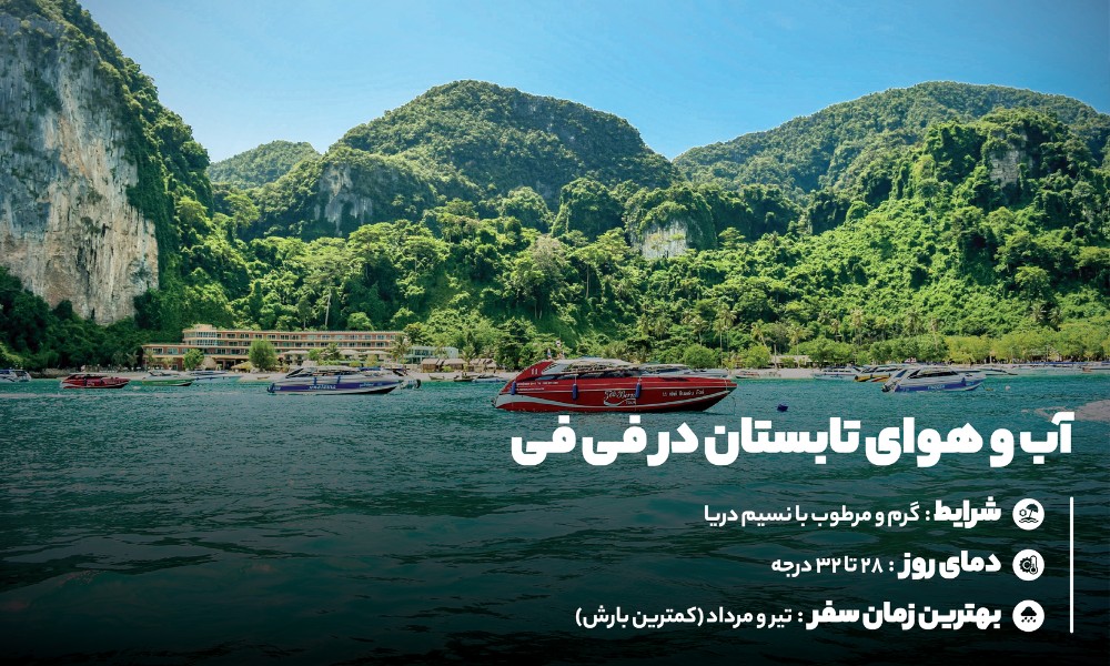 تابستان در فی فی