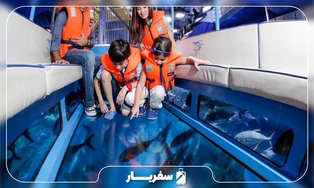 بهترین زمان بازدید از آکواریوم دبی