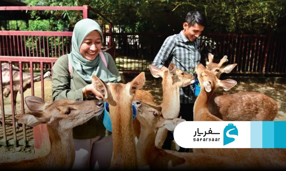 پارک حیات وحش