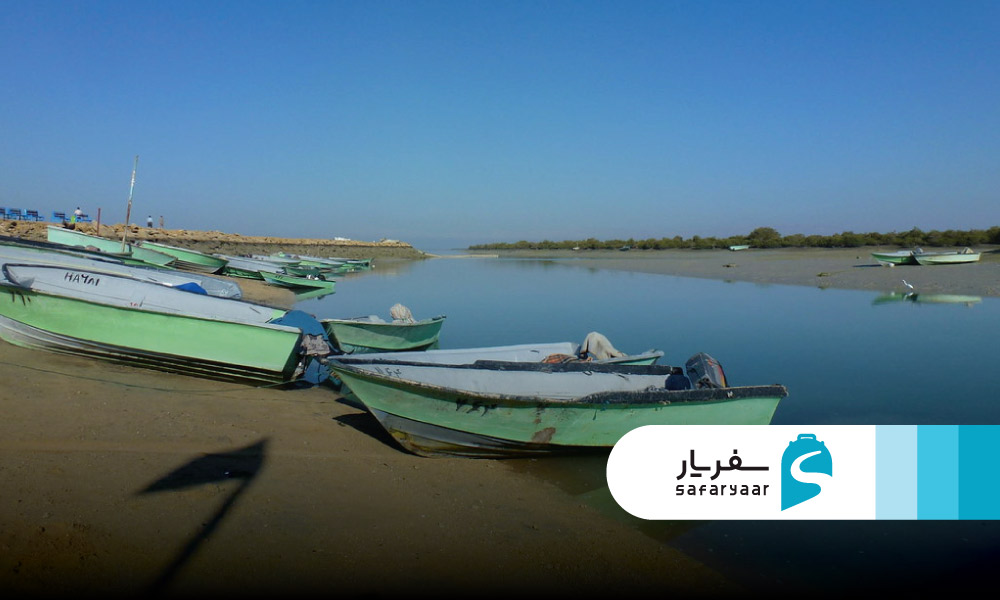 بهترین زمان سفر به جنگل حرا  در جزیره قشم