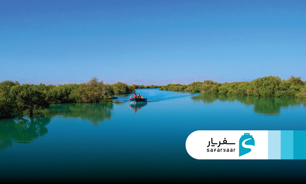 بازدید از جنگل حرا قشم