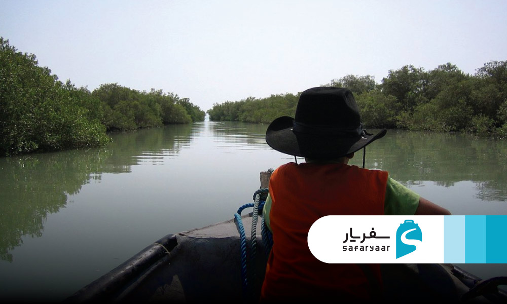 ساعت بازدید از جنگل حرا قشم