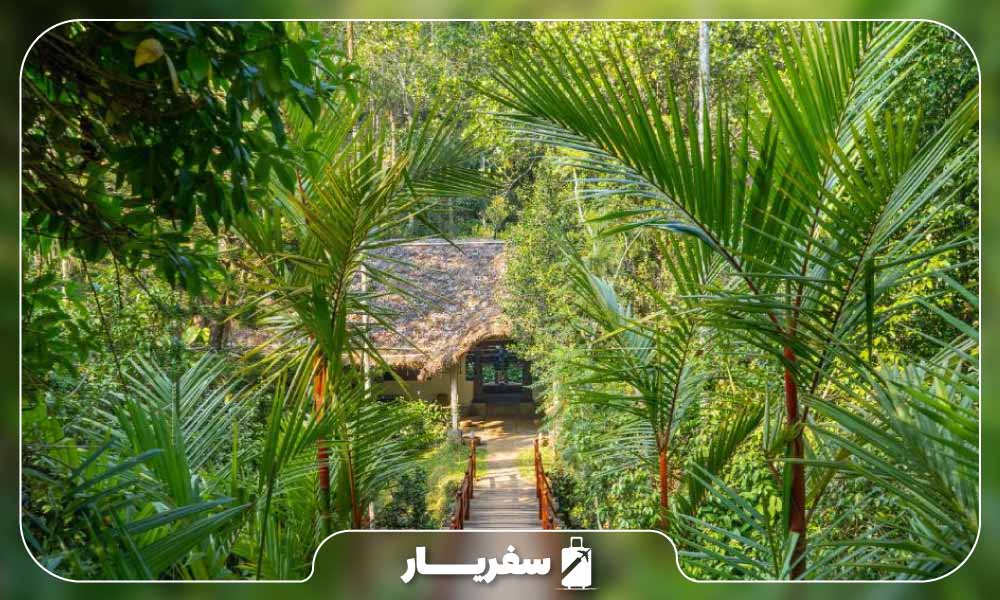 باغ ادویه در سریلانکا