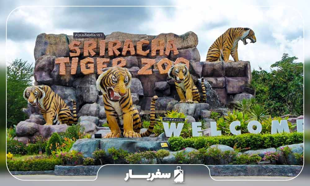 درب ورودی باغ وحش ببر سریراچا و ببرهای ماکت