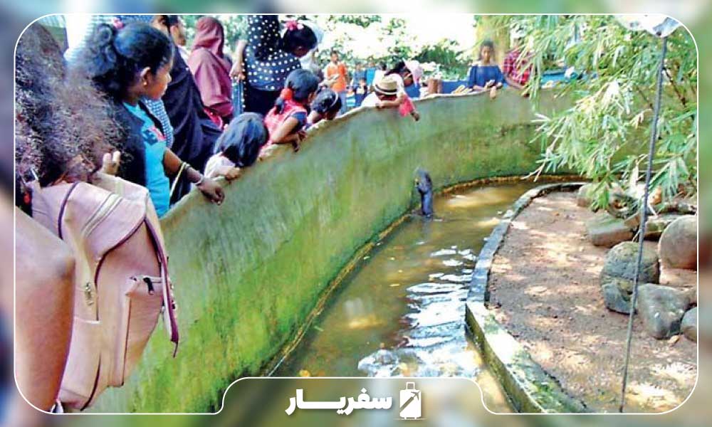 باغ وحش دهیوالا سریلانکا