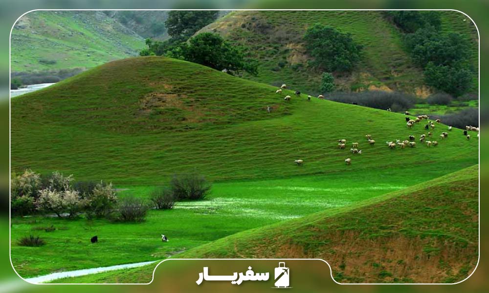 کوهرنگ