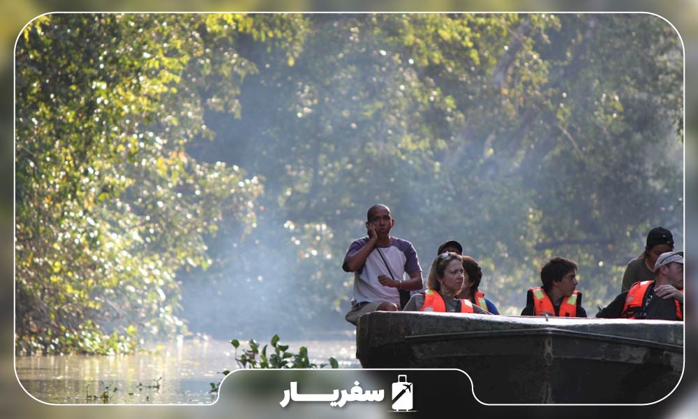 جنگل کیناباتانگان در مالزی